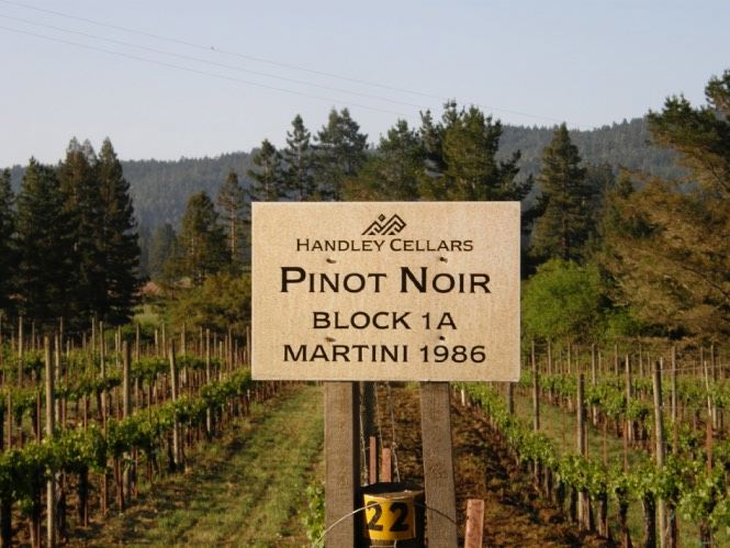 Recognizing Pinot Noir Clonal Diversity