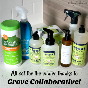 Minimize Germs this Winter with Non-Toxic Products